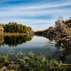 Avis aux riverains d'un cours d'eau