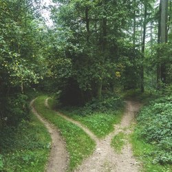 Se balader partout en forêt, possible ou pas?