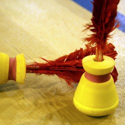 Envie de bouger? Tentez l'indiaka !