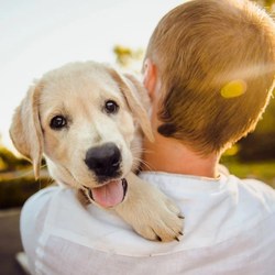 Animalweb, LE site de référence des amis des animaux