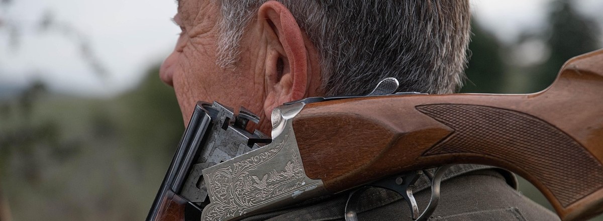 Battues de chasse – Informez-vous avant de partir en balade !