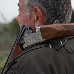 Battues de chasse – Informez-vous avant de partir en balade !
